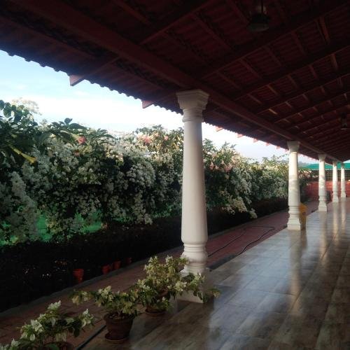 bougain villea homestay