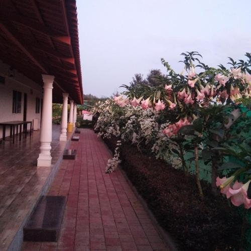 bougain villea homestay