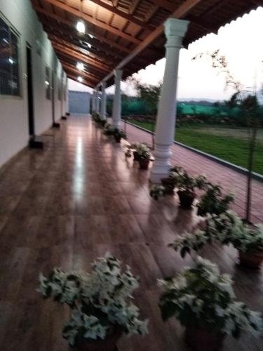 bougain villea homestay