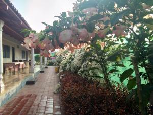 bougain villea homestay