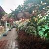 Bougain Villea Homestay,Madikeri>>Chikkamagaluru,4 star