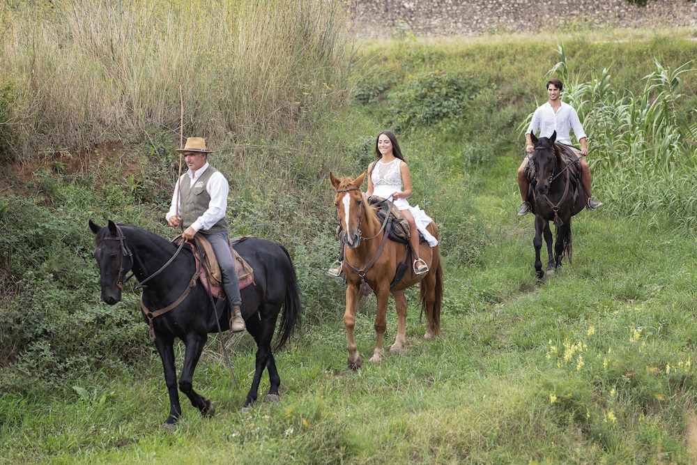 castiglione della pescaia