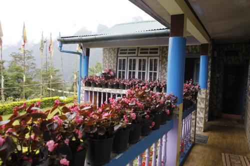 pemayangtse