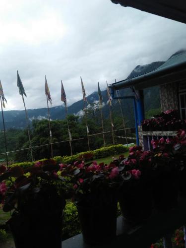 pemayangtse