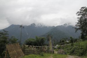 pemayangtse