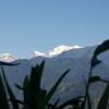 vamoose soshing homestay