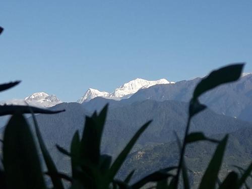 vamoose soshing homestay