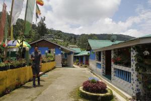 rinchingpong