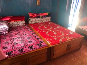 vamoose lippohochha homestay