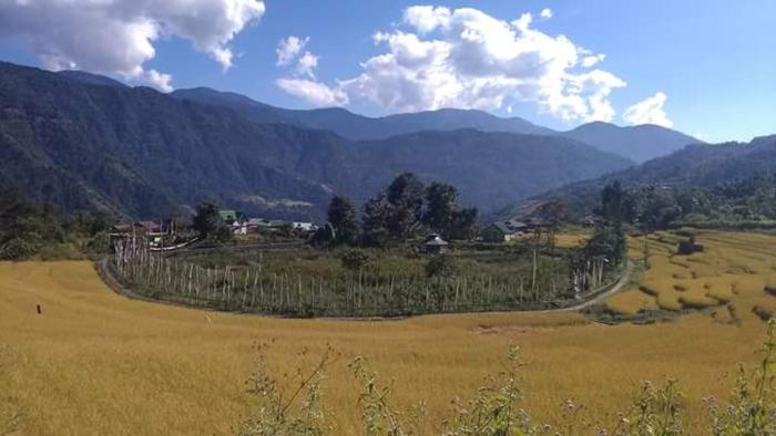 vamoose bhutia homestay