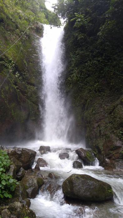 vamoose bhutia homestay