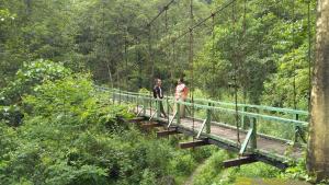 padamchen