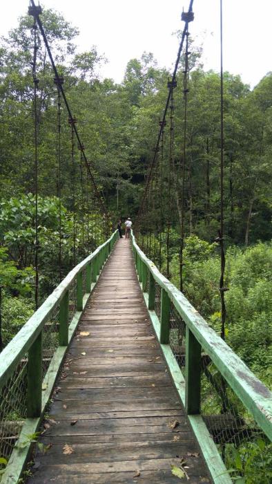 vamoose bhutia homestay