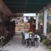 Vamoose Norlha,Takdah>>Darjeeling,2 star