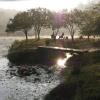 siddapur