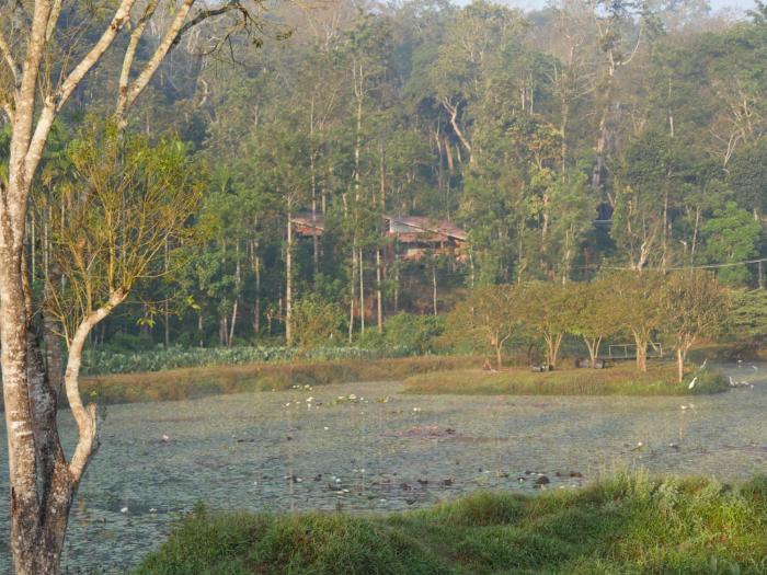 siddapur