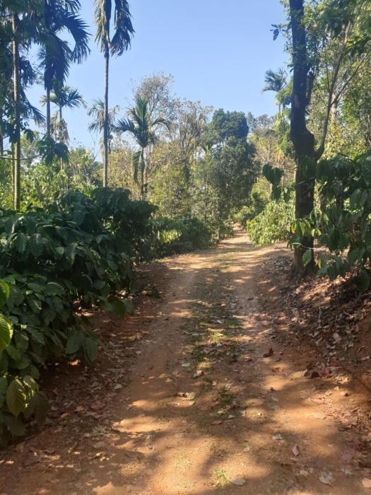 chikmagalur