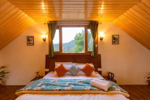 zostel homes theog shimla
