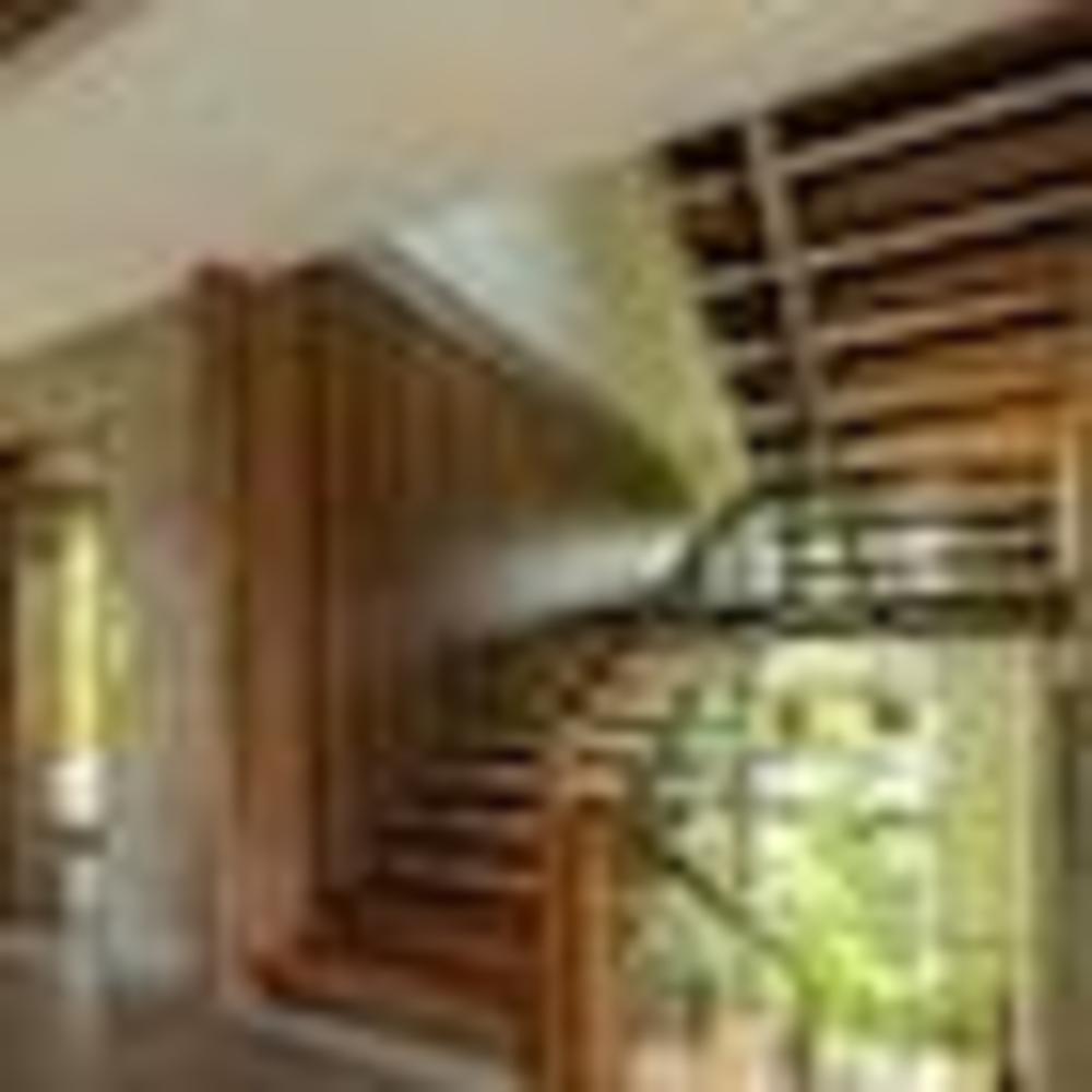 ama stays and trails sherlys ente kumbalanghi kochi