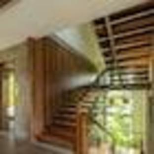 ama stays and trails sherlys ente kumbalanghi kochi