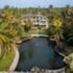 ama stays and trails sherlys ente kumbalanghi kochi