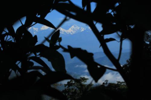 darjeeling
