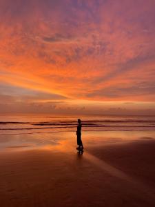 blue corner beach huts and restaurant