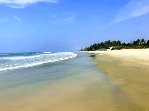 blue corner beach huts and restaurant