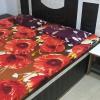 Sai Guest House,Shastri Nagar,3 star