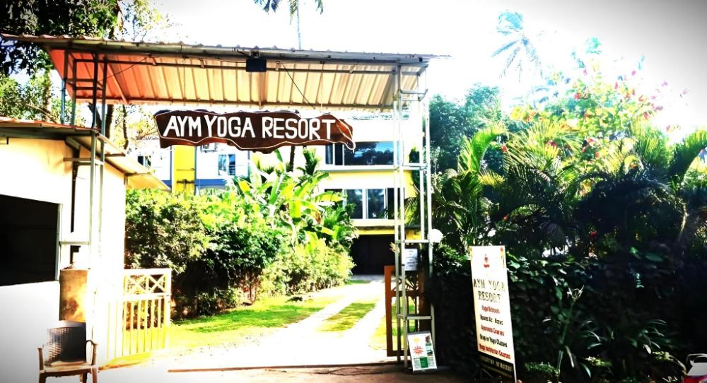 aym yoga resort arambol goa