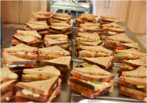 aym yoga resort arambol goa