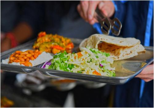 aym yoga resort arambol goa