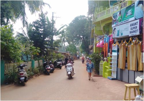 aym yoga resort arambol goa