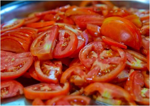 aym yoga resort arambol goa