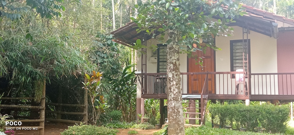 family villa is a hut style accommodation