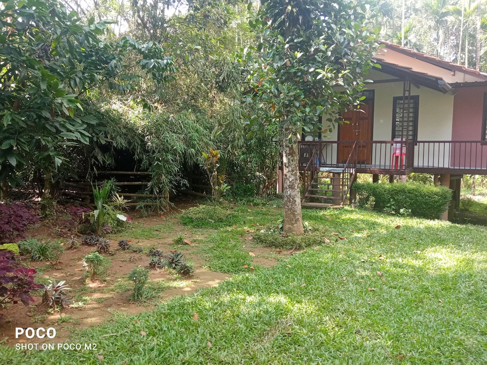 family villa is a hut style accommodation