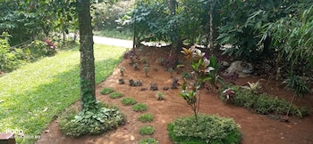 family villa is a hut style accommodation