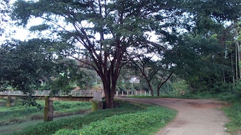 family villa is a hut style accommodation