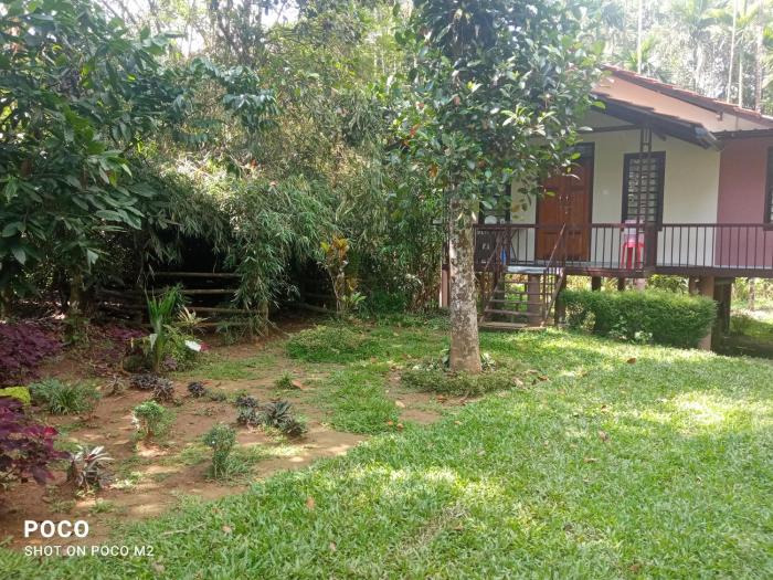 family villa is a hut style accommodation