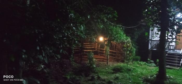 family villa is a hut style accommodation