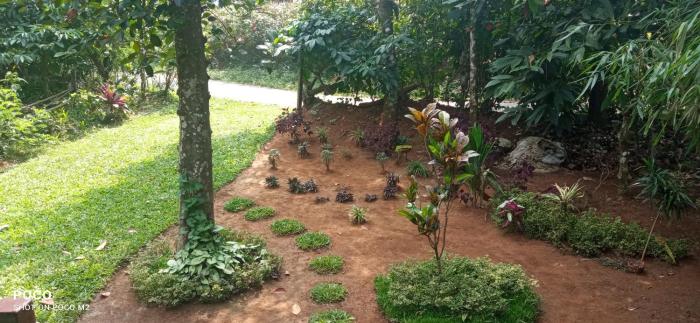 family villa is a hut style accommodation