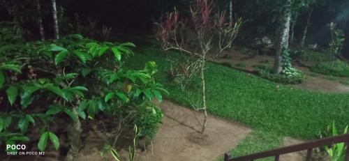 family villa is a hut style accommodation