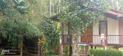 family villa is a hut style accommodation