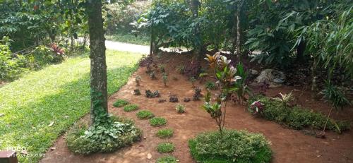 family villa is a hut style accommodation