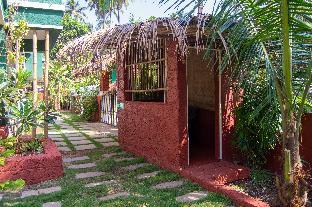 green nest hostel baga arpora