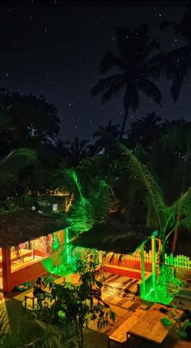 green nest hostel baga arpora