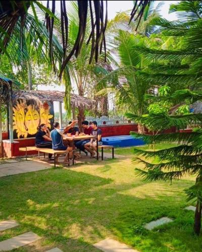 green nest hostel baga arpora