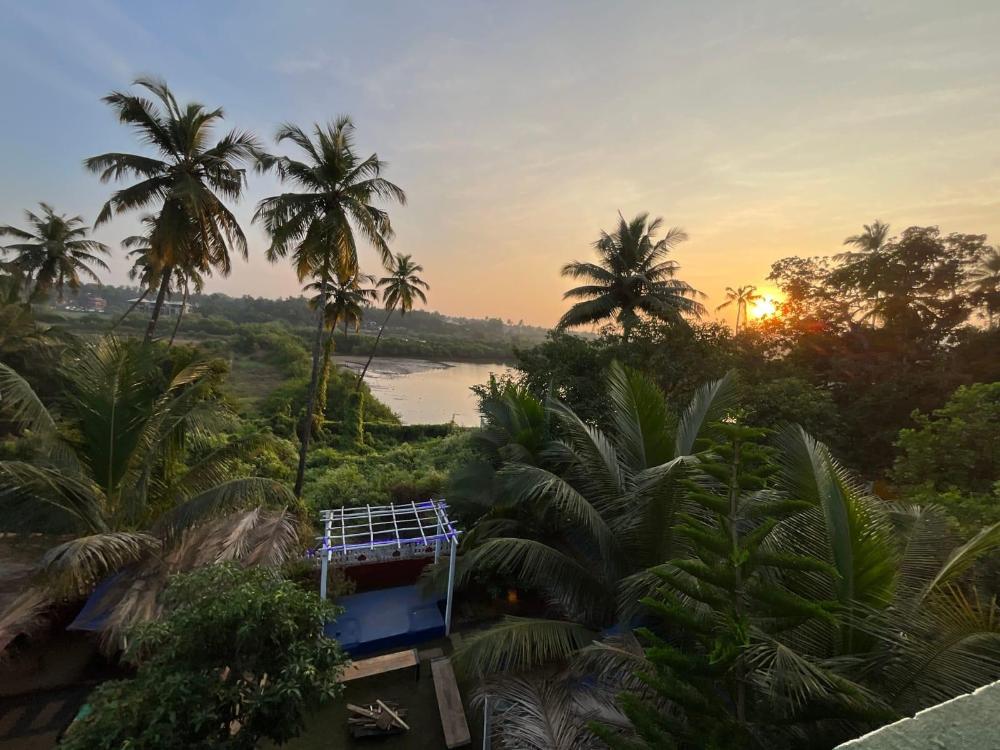 green nest hostel baga arpora