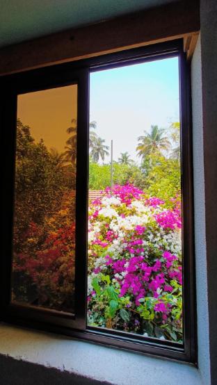 green nest hostel baga arpora