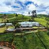 Langdale Boutique Hotel By Amaya,In The Mountains,4 star